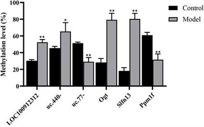 N6-methyladenosine-modified lncRNA and mRNA modification profiles in cerebral ischemia-reperfusion injury